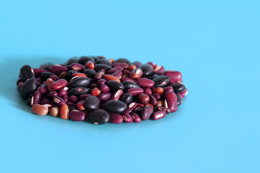 Navigating Protein Sources in a Vegetarian Diet