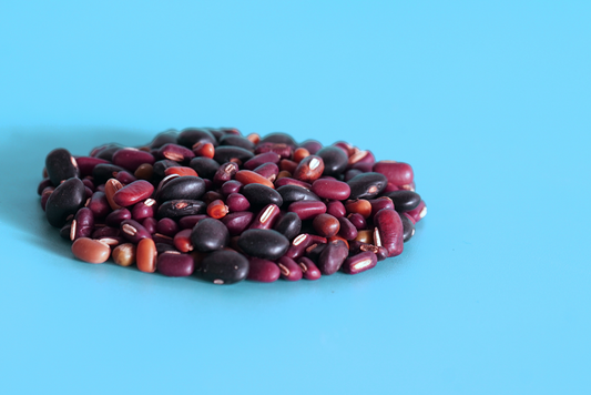 Navigating Protein Sources in a Vegetarian Diet