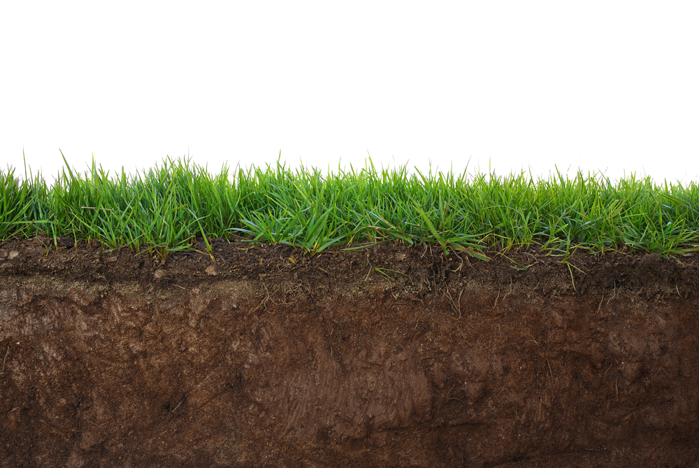 Nutrient Depletion in Our Soil: What Does It Mean Your Health?