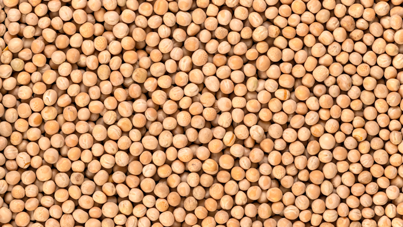 Is Your Pea Protein Powder Causing Gas? Let's Unearth the Facts.