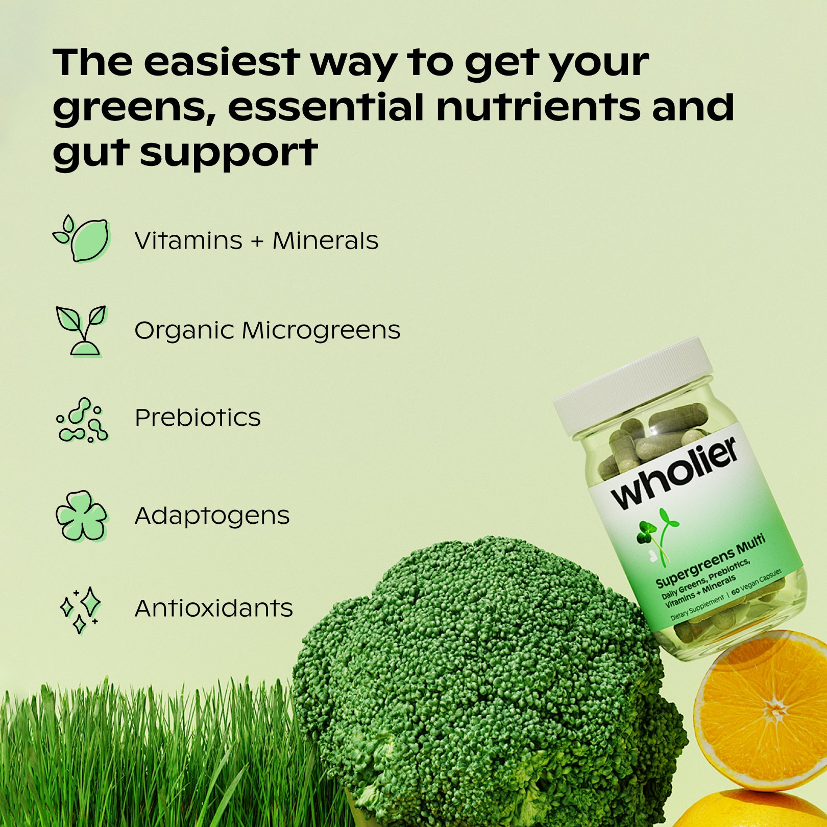 A single green leaf against a white background.