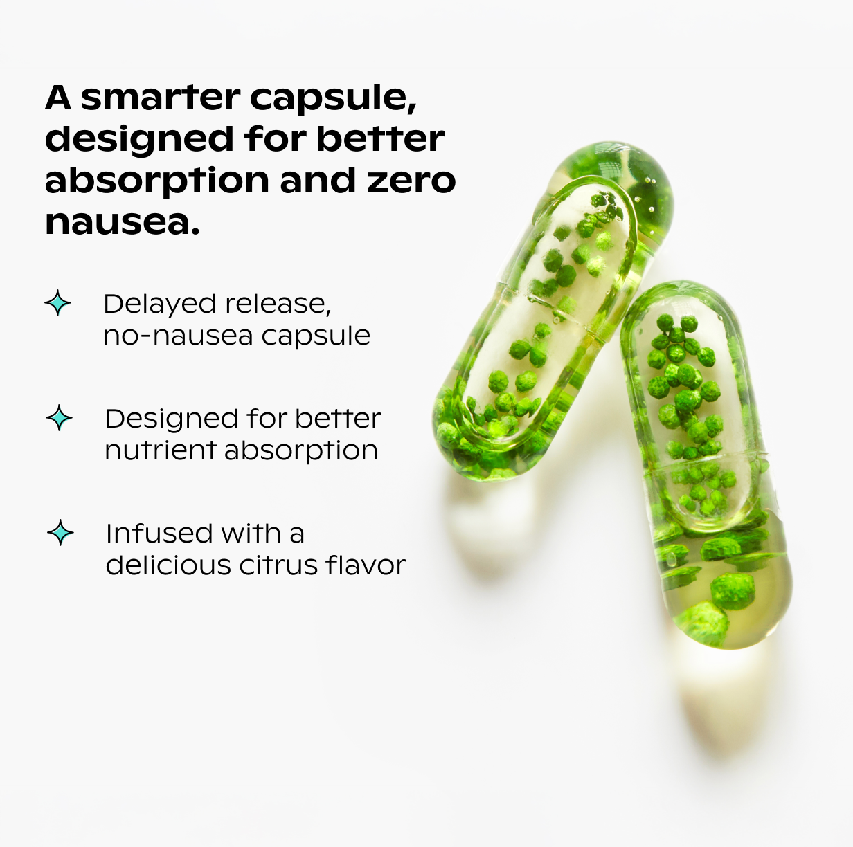 A single green leaf against a white background.