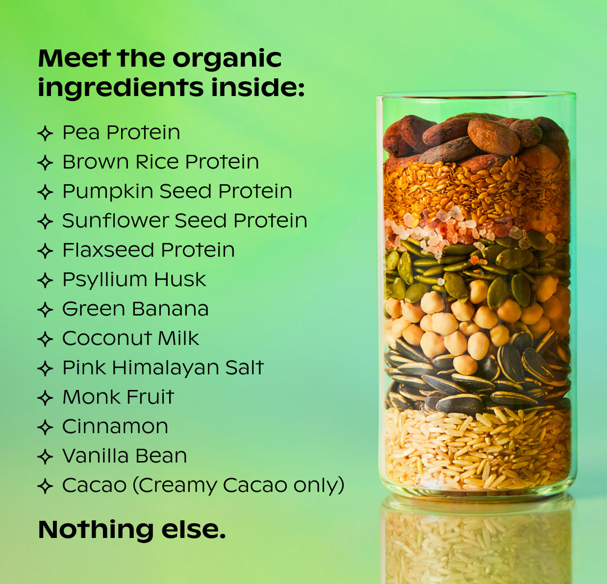 Organic Plant Protein + Prebiotics