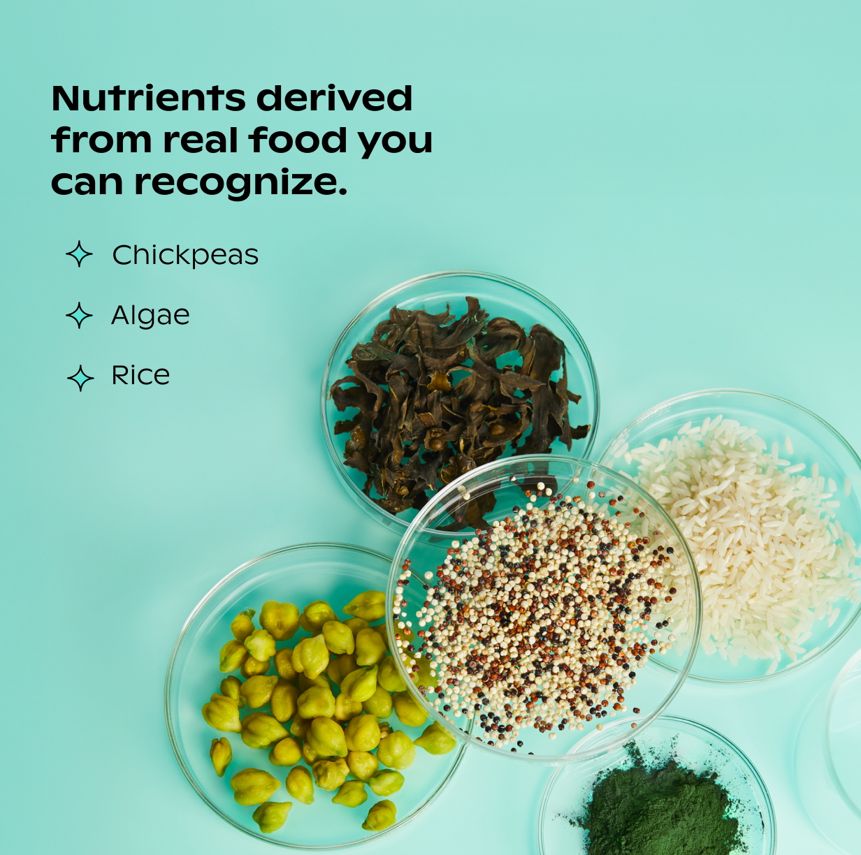 A single green leaf against a white background.