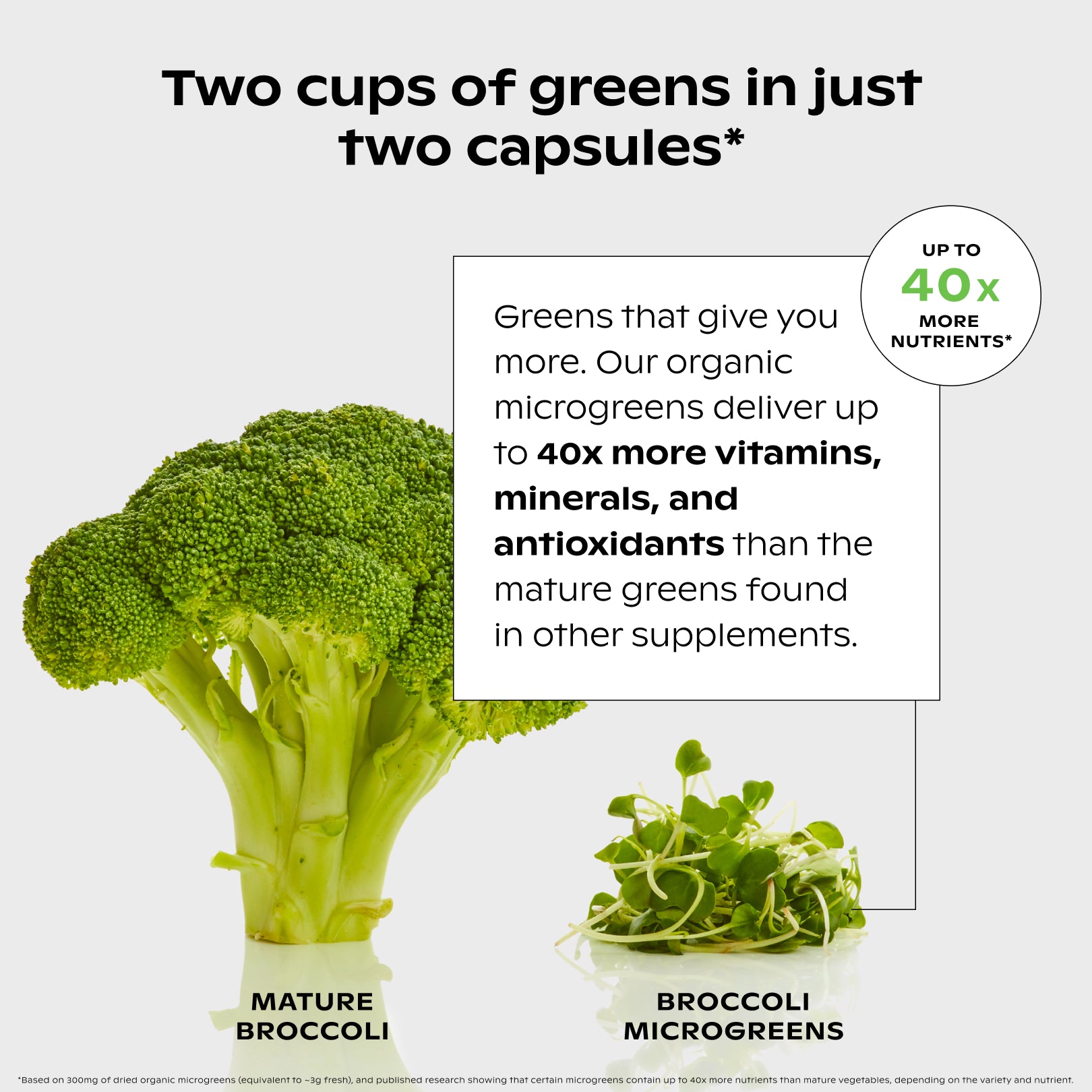 A single green leaf against a white background.