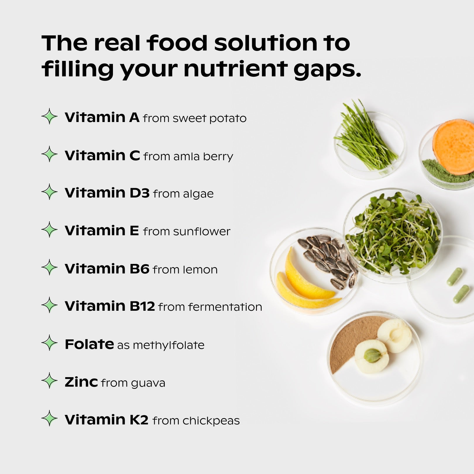 A single green leaf against a white background.