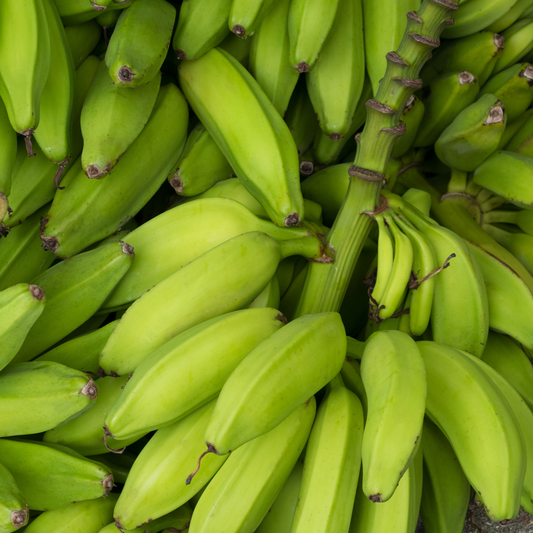 Green Bananas: The Prebiotic Powerhouse Fruit