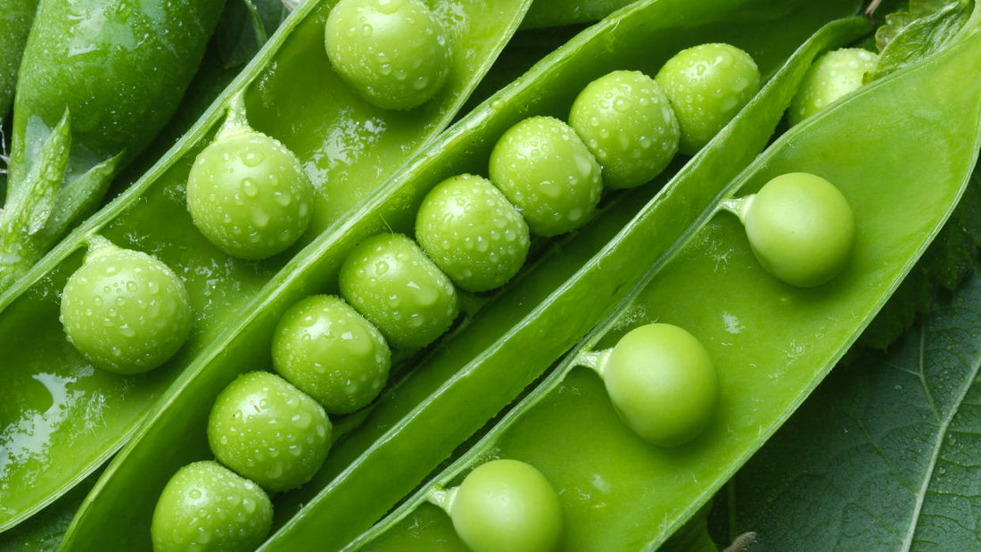 The Ultimate Guide to Protein-Rich Vegan Foods