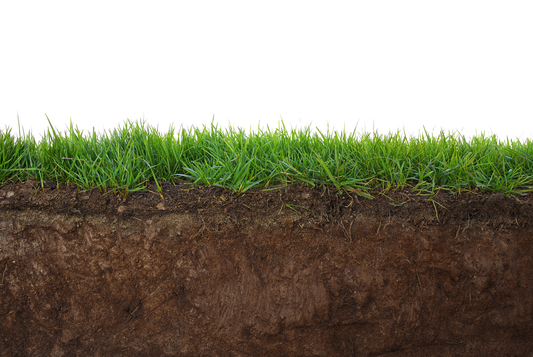 Nutrient Depletion in Our Soil: What Does It Mean Your Health?