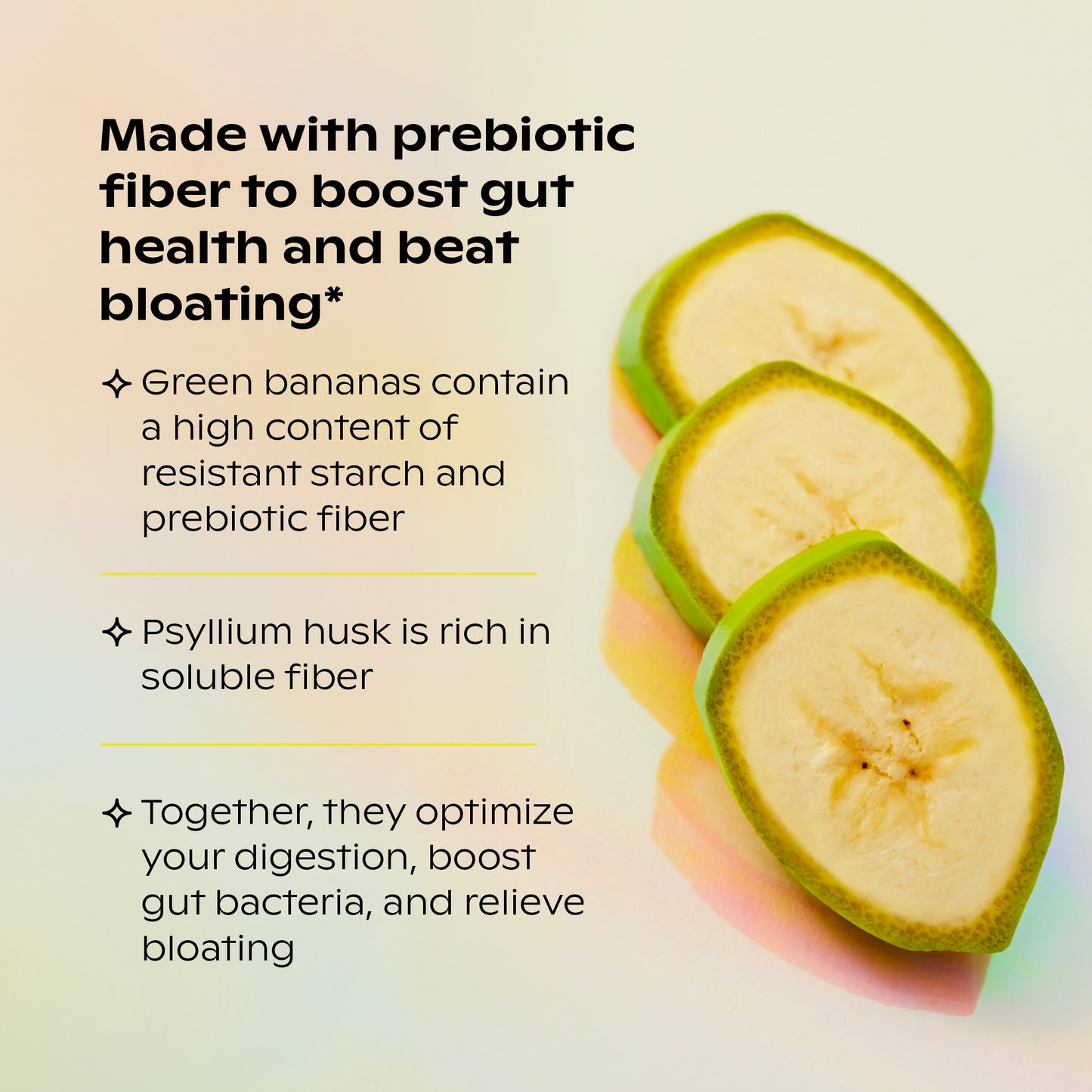 Organic Plant Protein + Prebiotics: 3 Protein Bundle