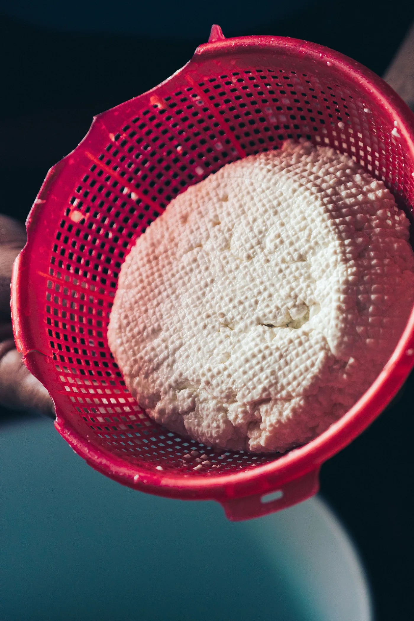 Fresh cheese curds draining in a strainer, the stage whey is separated from