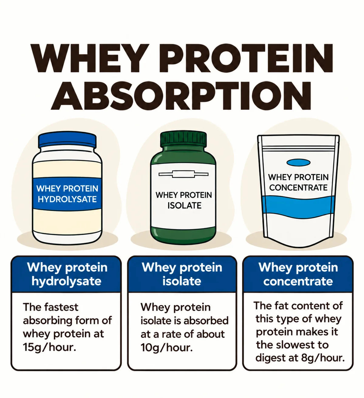 Whey protein absorption: hydrolysate about 15g per hour, isolate about 10g per hour, concentrate about 8g per hour